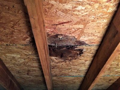 Prevent Mold Growth!